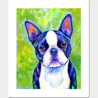 Effervescent Colorful Boston Terrier Dog Posters and Art